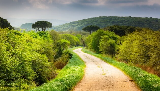 the green way of the carrilet path of olot