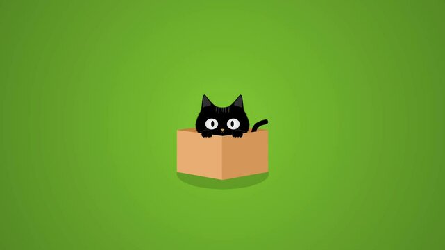 Cute cat animation looking and blinking in the box