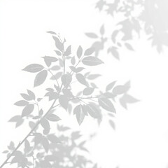 shadow overlay effect. Gray shadow of leaves isolated on white background. Plant foliage leaf shadow light effect. Mockup Blurred tree branch shadow. Ideal for summer spring design elements PNG