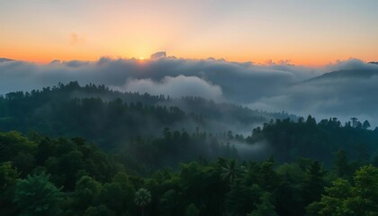 Obraz premium Misty mountain sunrise, sun rays through fog, lush green forest, vertical landscape, wilderness, scenery
