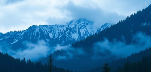 Misty blue mountain range with dark coniferous forest, rocky terrain,  mist,   pine