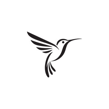 Unique humming bird logo Modern and minimalist vector and abstract logo
