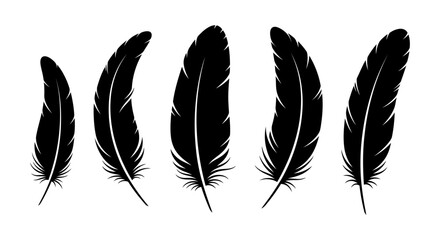 Vector group of black feather isolated on white background. Icons. EPS 10