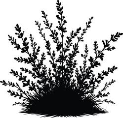 Obraz premium Black silhouette bush & shrub vector illustration isolated on a white background