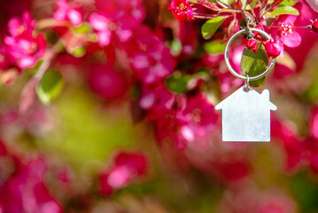Symbol of the house on the branches of a flowering decorative apple tree
