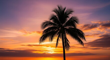 A single palm tree silhouetted against a stunning sunset sky, with shades of orange, pink, and purple