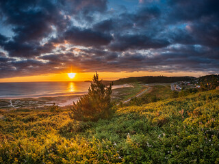 Sunset over Atlantic coast of Galicia Spain golden light reflecting on calm sea dark clouds above vibrant sky dunes pine trees wild shoreline peaceful scene warmth freedom serenity