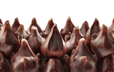 Close up of whole cloves with bulb shaped heads showcasing their aromatic spices and detailed natural textures ready for culinary use isolated on transparent background PNG