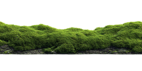 Lush green moss covered hill on a black background, showcasing vibrant texture and natural beauty Concept of nature, environment, and organic growth
