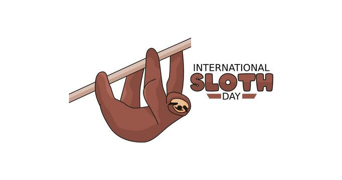international sloth day motion video, ideal for international sloth day celebration