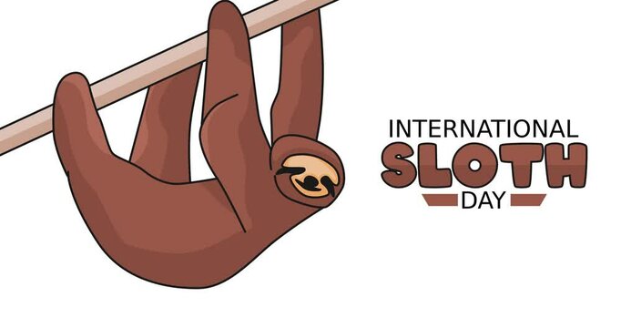 international sloth day motion video, ideal for international sloth day celebration