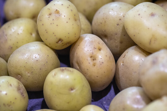 Bunch of Yellow or White Potatoes