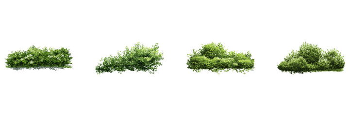 Lush Green Shrubs And Foliage Side View Set. Landscape And Garden Design Resource Collection. Botanical And Environmental Use. Isolated Vector Illustration