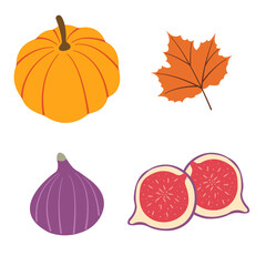 Autumn harvest flat vector elements: pumpkins, figs, orange leaf for fall designs. Vector illustration for banners, social media, cards