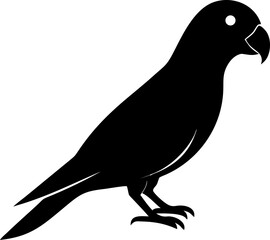 Vector illustration of a pigeon or dove silhouette, a black bird design on a white background