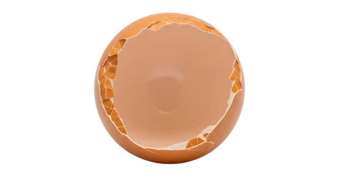 Isolated close up of a broken eggshell with a brown color on a black background in studio shot