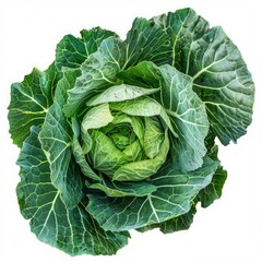 Fototapeta premium This vibrant green cabbage showcases its tightly packed leaves, creating a beautiful and intricate pattern