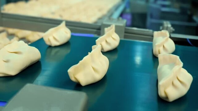 The Automatic Production Line of Dumplings operating within a modern Food Manufacturing Facility