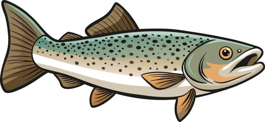 Detailed Speckled Trout Vector Artwork.
