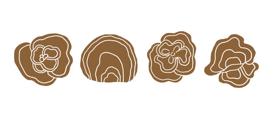 Vector bunch with silhouette Trametes versicolor or Coriolus versicolor or ornate Turkey tail mushroom isolated background. Alternative medicine, cosmetics, food ingredient. Design for logo, sign