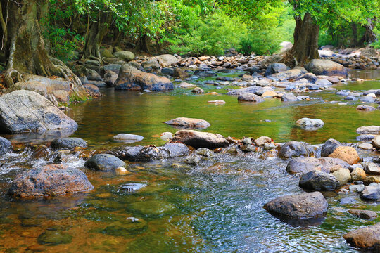 Water flowing through rock, pebbles in stream and forest.