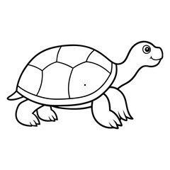 turtle vector illustration