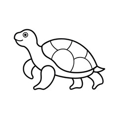 vector illustration of turtle