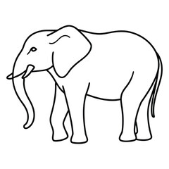 elephant vector illustration