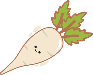 Turnip illustration.