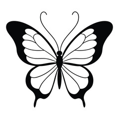 butterfly vector illustration