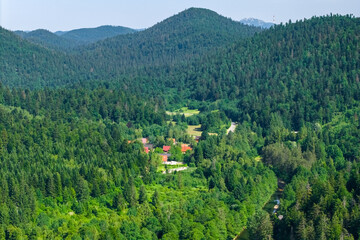 Aerial view of a small village nestled deep in the coniferous forests of Gorski Kotar, Croatia. Red...