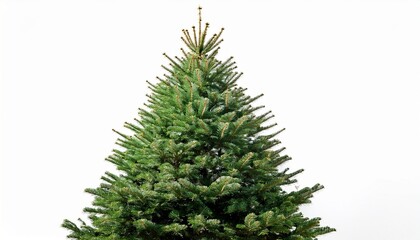 Fototapeta premium beautiful christmas tree isolated on white background