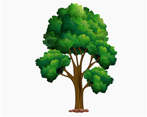 Lush Green Deciduous Tree Vector Illustration