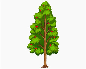 Tall Green Tree with Red Fruits Vector Illustration