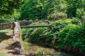 Bridge over a stream with plants growing on the side
