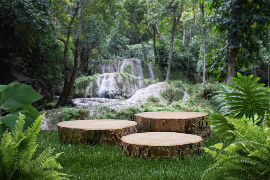 wood stump table top podium with outdoor waterfall tropical forest nature background landscape.Natural water mineral product present placement pedestal wooden stand display.jungle paradise concept.