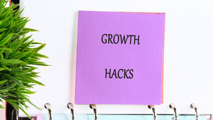 The Concept Phrase of GROWTH HACKS. Business concept. A place to copy. Business, technology,...