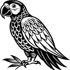 Macaw flying bird vintage style Minimalist concept vector illustration