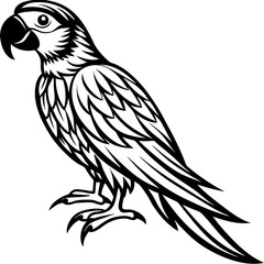 Fototapeta premium Silhouette Macaw parrot Illustration clipart isolated on white background