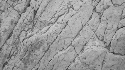 Obraz premium A rough, dry, cracked bark pattern on an old tree, resembling textured ground in a drought-stricken desert