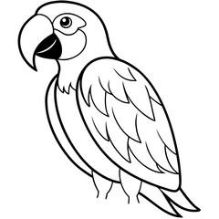 parrot bird standing happy coloring pages line art vector illustration	