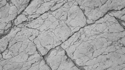 A rough, dry, cracked bark pattern on an old tree, resembling textured ground in a drought-stricken desert