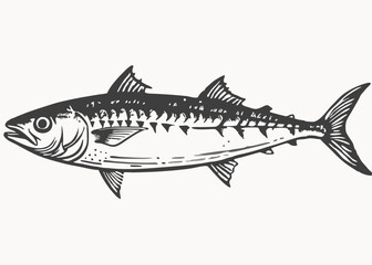 mackerel fish line vintage style Minimalist concept vector illustration
