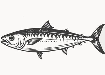 mackerel fish line vintage style Minimalist concept vector illustration