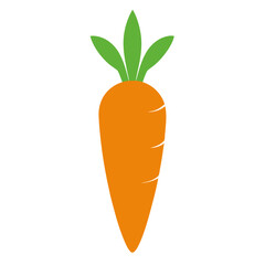 Carrot vector icon on white background.