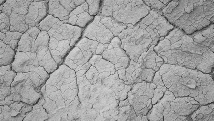 A rough, dry, cracked bark pattern on an old tree, resembling textured ground in a drought-stricken desert