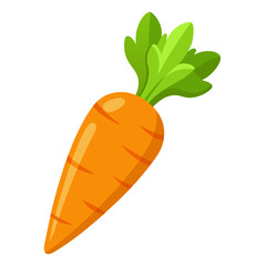 Carrot vector icon on white background.