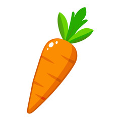 Carrot vector icon on white background.