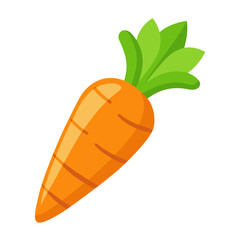 Carrot vector icon on white background.