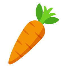 Carrot vector icon on white background.